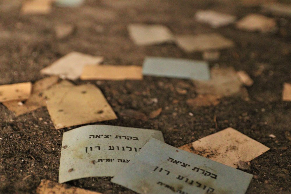קולנוע רון - פיל לבן בחיפה - רסיסי נוסטלגיה (צילום: עומר מוזר)