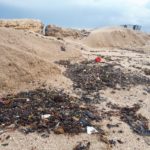 זפת • אסון אקולוגי שחור בחיפה (צילום: שומרי הים – בת גלים)