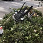 haipo news of haifa bushes 08.02 (1)