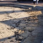 אסון הזפת: נחיתות בכל רצועת החוף של חיפה והזמנת מתנדבים | שבת 13/3/21 (צילום: עיריית חיפה – אגף החופים)