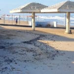 אסון הזפת: נחיתות בכל רצועת החוף של חיפה והזמנת מתנדבים | שבת 13/3/21 (צילום: עיריית חיפה – אגף החופים)
