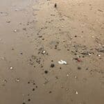 אסון הזפת: כמות גדולה נפלטה לחופי חיפה בשל הסערה 12/3/21 (צילום: אגף החופים – עיריית חיפה)