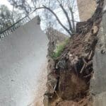 קיר תומך קרס ברמות רמז בחיפה (צילום: איחוד הצלה)