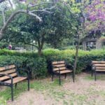 פינת הישיבה בגן שמואל • טקס חנוכת פינת ישיבה בגן שמואל לזכרו של שאול פרחי ז"ל הנפטר הראשון מקורונה בחיפה (צילום: אקי פלקסר)