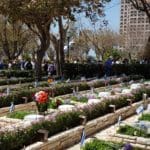 haipo news of haifa graveyard 140421 (1)