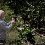 אייל פרידלנדר בבוסתן כיאט (צילום: ניבה בן עמי)