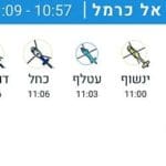 דליה1