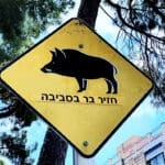 שלט חזיר בר בסביבה (צילום: נילי בנו)