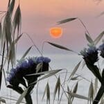 שקיעה בחיפה – טיילת הכט (צילום: ירון כרמי)