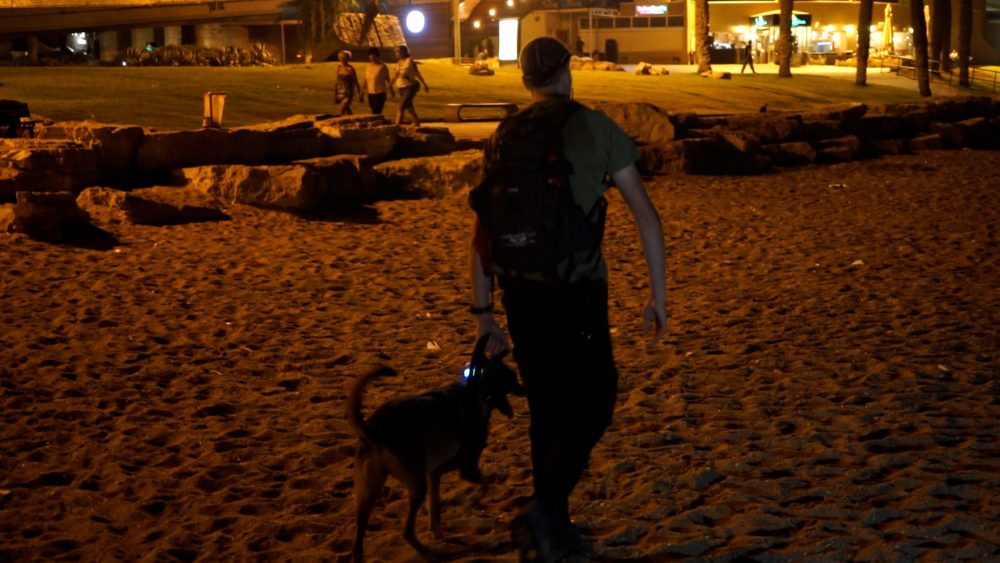 הכלבנים בפעילות מבצעית - איתור נעדרת בחיפה (צילום: ירון כרמי)