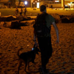 הכלבנים בפעילות מבצעית – איתור נעדרת בחיפה  (צילום: ירון כרמי)