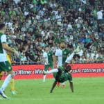 haipo news of haifa champ 2607214 (4)