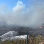 haipo news of haifa fire 28072121 (3)