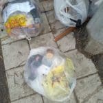 haipo news of haifa garbage 150721 (3)