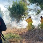 שריפת חורש בקריית טבעון (צילום: כבאות והצלה)