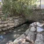 haipo news of haifa avnit 190821 (5)