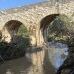 haipo news of haifa avnit 190821 (7)