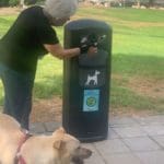 haipo news of haifa dogs 250821