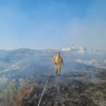 haipo news of haifa fire 010821 (1)