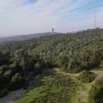 הבנים (צילום: אבנית סטרולוב)