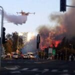 חיפה בלהבות – השרפה הגדולה: מטוס כיבוי ברוממה (צילום: מורדי גפן)