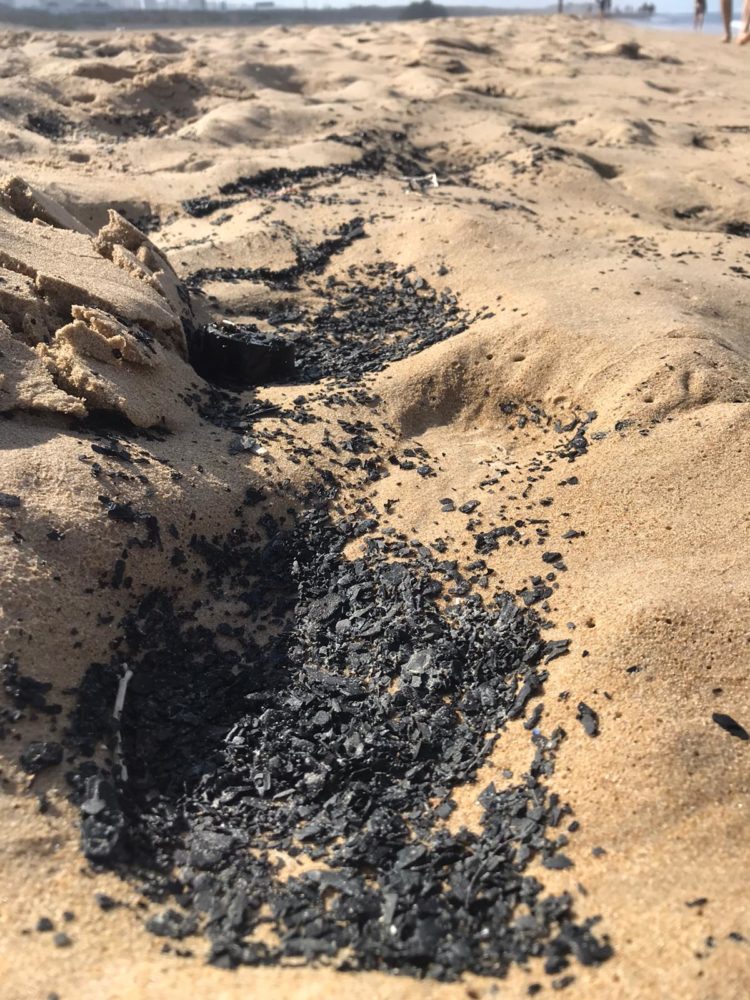 פתיתים שחורים נחתו בחופים (צילום: רויטל גולדשמיד)
