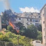 haipo news of haifa fire 290921