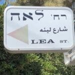 כרמליה-4