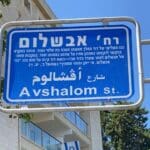 כרמליה-5
