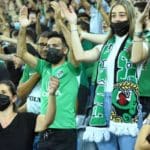 haipo-news-of-haifa-green-football-241021-1-1000×667