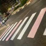 haipo news of haifa pink zebra cross 241021