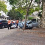 haipo news of haifa tree 311021 (1)