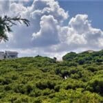 haipo news of haifa weather 021021