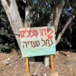 נחל סעדיה (צילום: ירון כרמי)