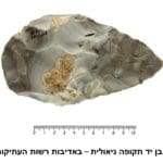 haipo news of haifa bat galim 051121 (8)