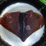 haipo news of haifa squid 291121 (15)