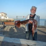 haipo news of haifa squid 291121 (5)