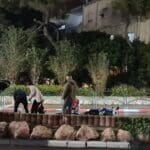 רוכב אופנוע החליק ונפצע במרכז הכרמל מול האודיטוריום (צילום: יעל הורביץ)