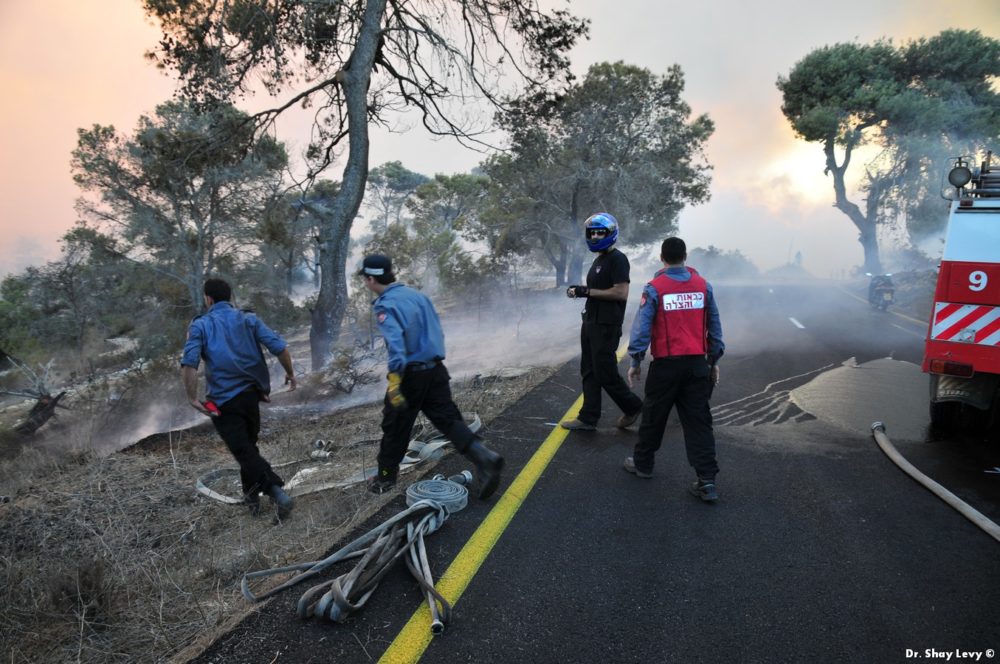 דני חייט, דותן שגב, אלדד ריבן ואורי סמנדייב ז"ל בעת השרפה בכרמל (צילום: ד"ר שי לוי)