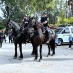 הפנינג חווייתי למען 350 ילדים חולי סרטן וילדים עם צרכים מיוחדים (צילום: ארז שטיינר)