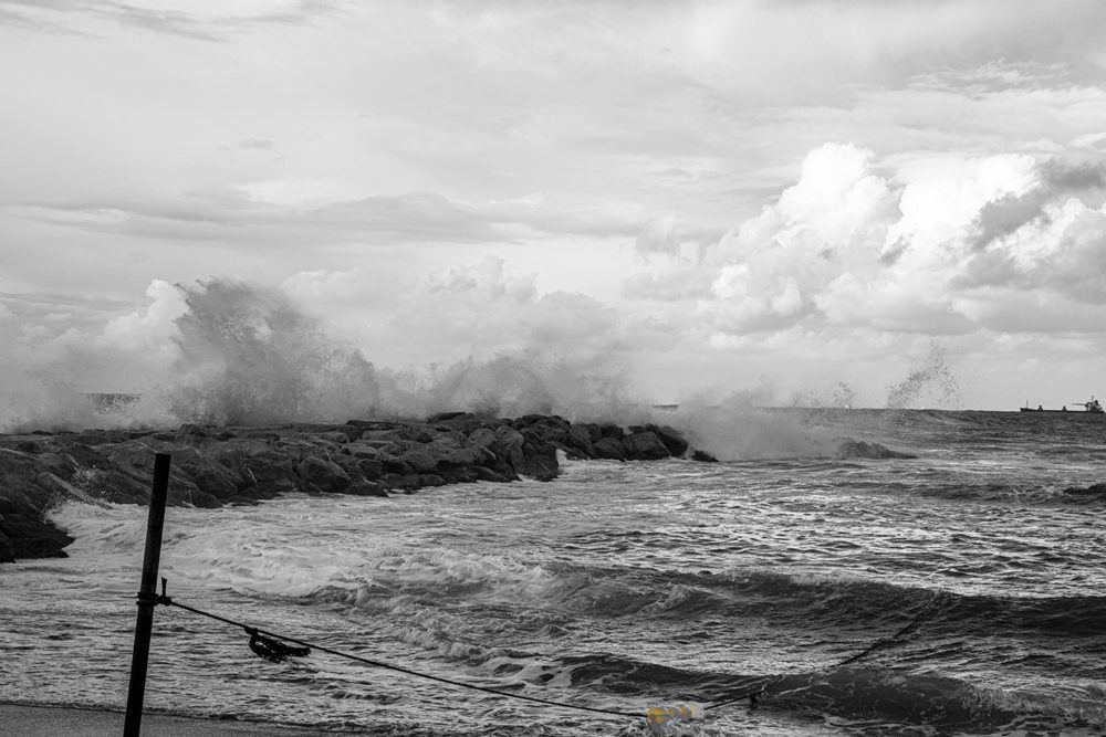 גלים בסערה (צילום: אקי פלקסר)