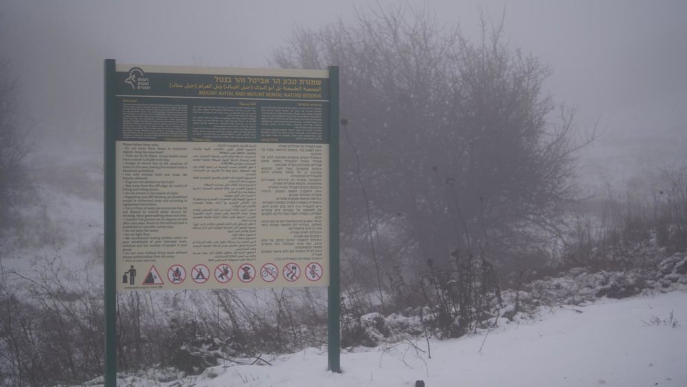 שלג ברמת הגולן (צילום: אוריה ואזנה - רשות הטבע והגנים)