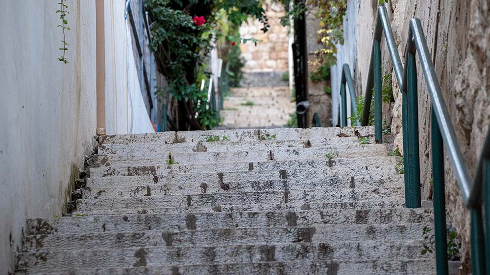 מדרגות בחיפה (צילום: ירון כרמי)