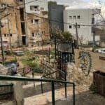 ירודה לגינה הקהילתית סירקין (צילום: פולינה וורונקובה)