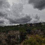 מזג אוויר סוער בחיפה – אלפיס (צילום: חי פה בשטח)