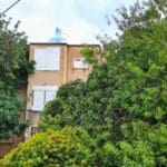 haipo-news-of-haifa-trees-230122-2-1000×450