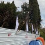 haipo news of haifa yotam 190122 (1)