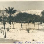 מבט לכיוון הר הכרמל (ניתן להבחין במלון "דן כרמל" הצעיר נושק אופטית לדופן בניין האשפוז של רמב"ם) קרדיט: הקריה הרפואית רמב"ם