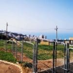 גינת כלבים בכרמל הצרפתי (צילום: אלעד טטנבאום)