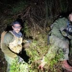 יחידת הכלבנים המתנדבים במהלך חיפושים אחר הנעדרת זוהר בן-אלי בחיפה (צילום: דודי מיבלום)